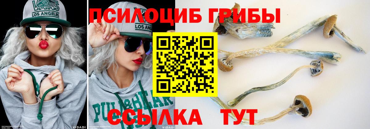 хочу   Вход с VPN  Галлюциногенные грибы ЛСД  Мариинск  Галлюциногенные грибы MAGIC MUSHROOMS 